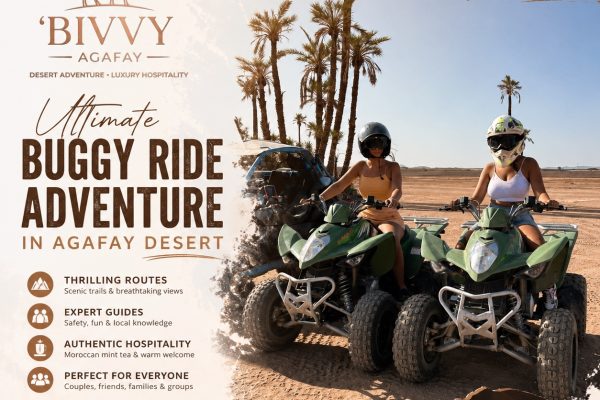 Buggy Ride Adventure in Agafay Desert