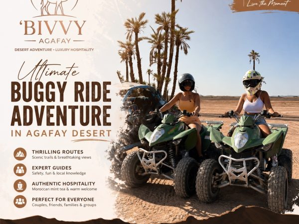 Buggy Ride Adventure in Agafay Desert