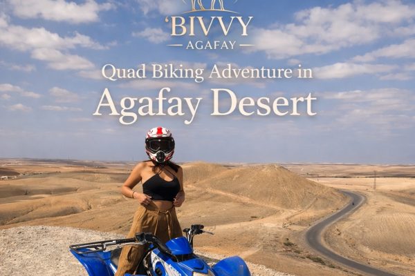Quad Biking Adventure in Agafay Desert