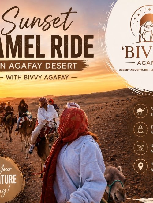Sunset Camel Ride in Agafay Desert