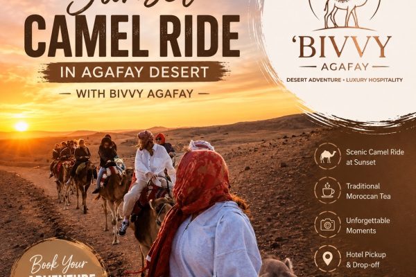 Sunset Camel Ride in Agafay Desert