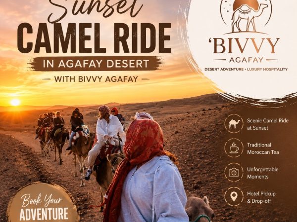 Sunset Camel Ride in Agafay Desert
